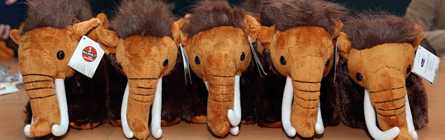 Mammut-Projekt im Museum für Naturkunde