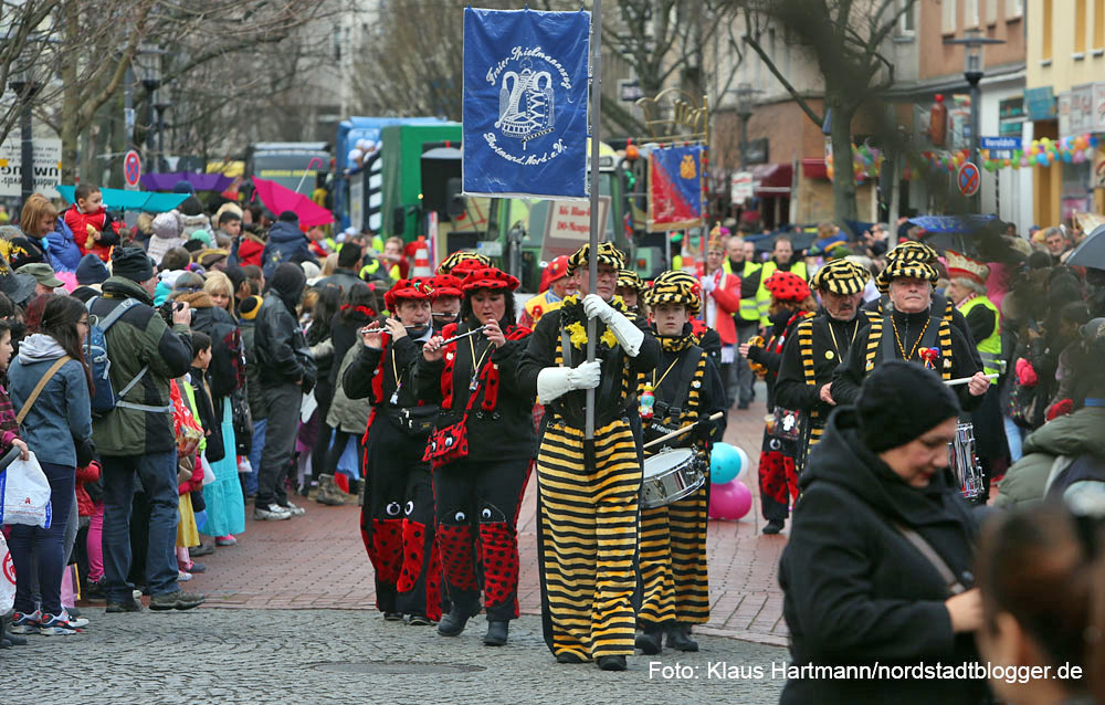 Rosenmontagszug 2014 auf der Münsterstraße