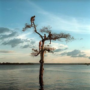 A group of boys climb a tree on the Xingu River by the city of Altamira, Brazil. One third of the city will be permanently flooded by the nearby Belo Monte Dam. Foto: Vincent Elkaim