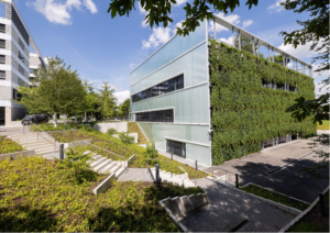 Vertical Gardening an der Südfassade des Networking Cube